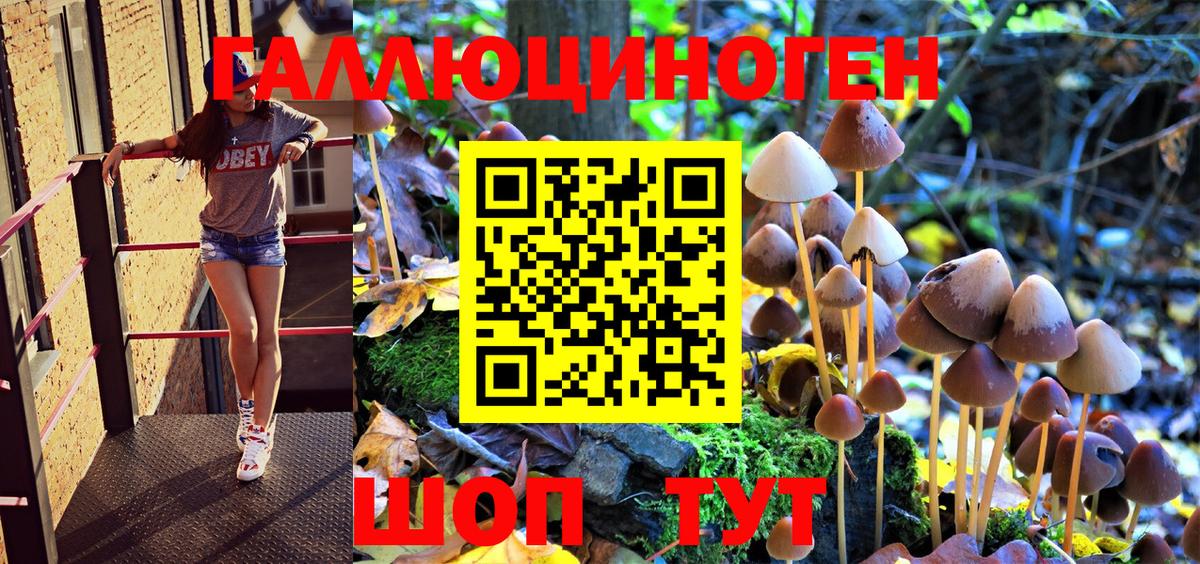 Галлюциногенные грибы мухоморы Богданович
