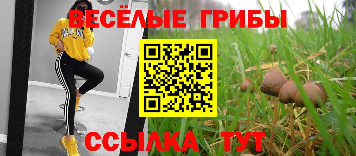 Псилоцибиновые грибы ЛСД  Вход с VPN  Галлюциногенные грибы GOLDEN TEACHER  Богданович 